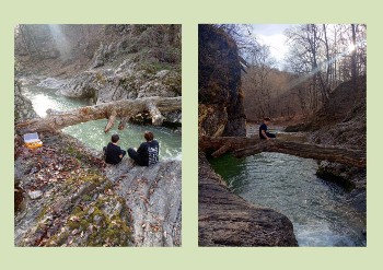 �����������