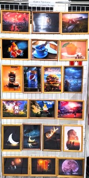 �����������